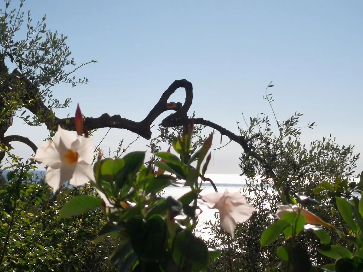 Florinda Lemon'S Suite Cervo Holiday home