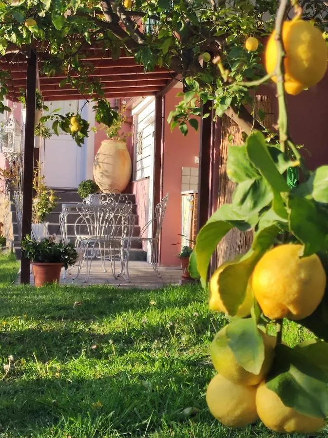 Florinda Lemon'S Suite Cervo Italy