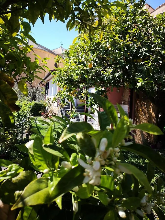 Holiday home Florinda Lemon'S Suite Cervo