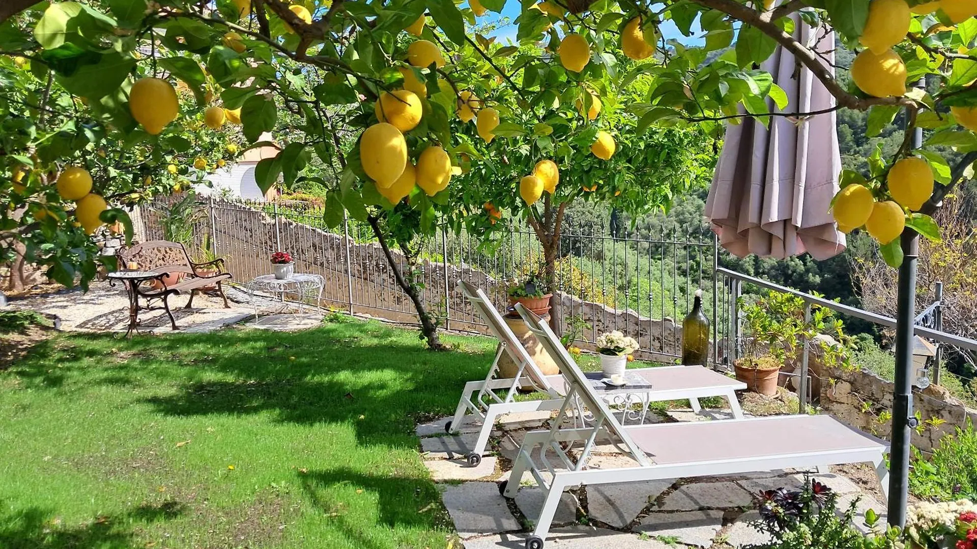 Holiday home Florinda Lemon'S Suite Cervo