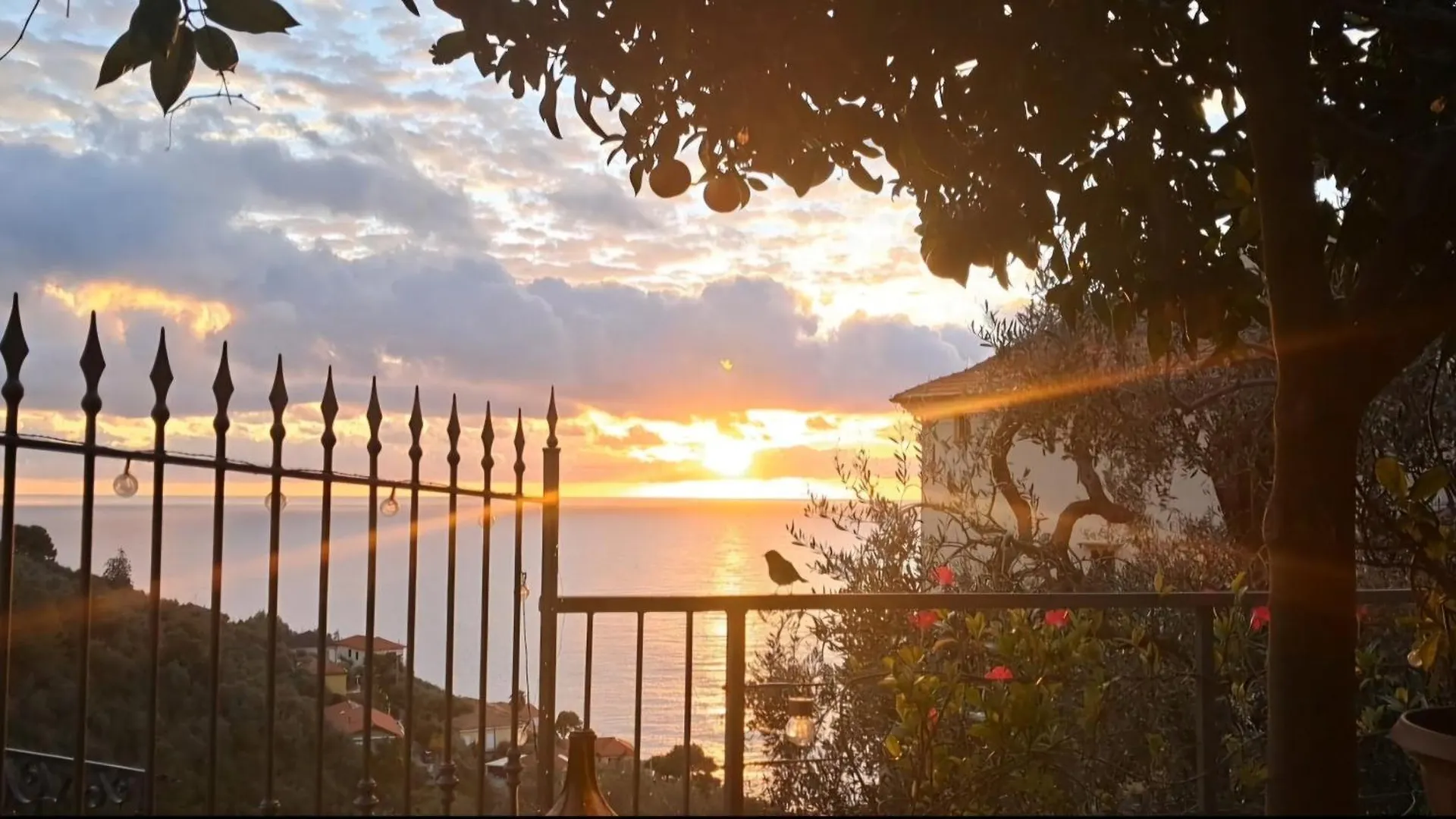 Florinda Lemon'S Suite Cervo